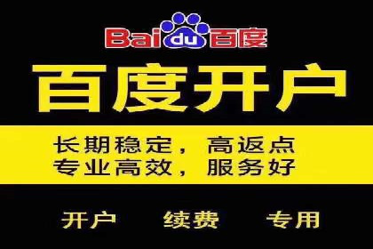 某某SEM服务公司成功案例：从数据出发的营销策略